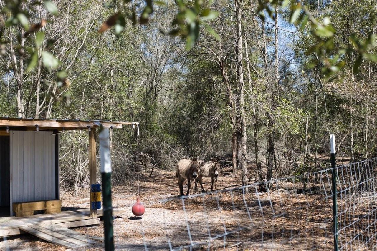 771 & 775 SW Choctaw Avenue, Fort White, FL 32038 Photo