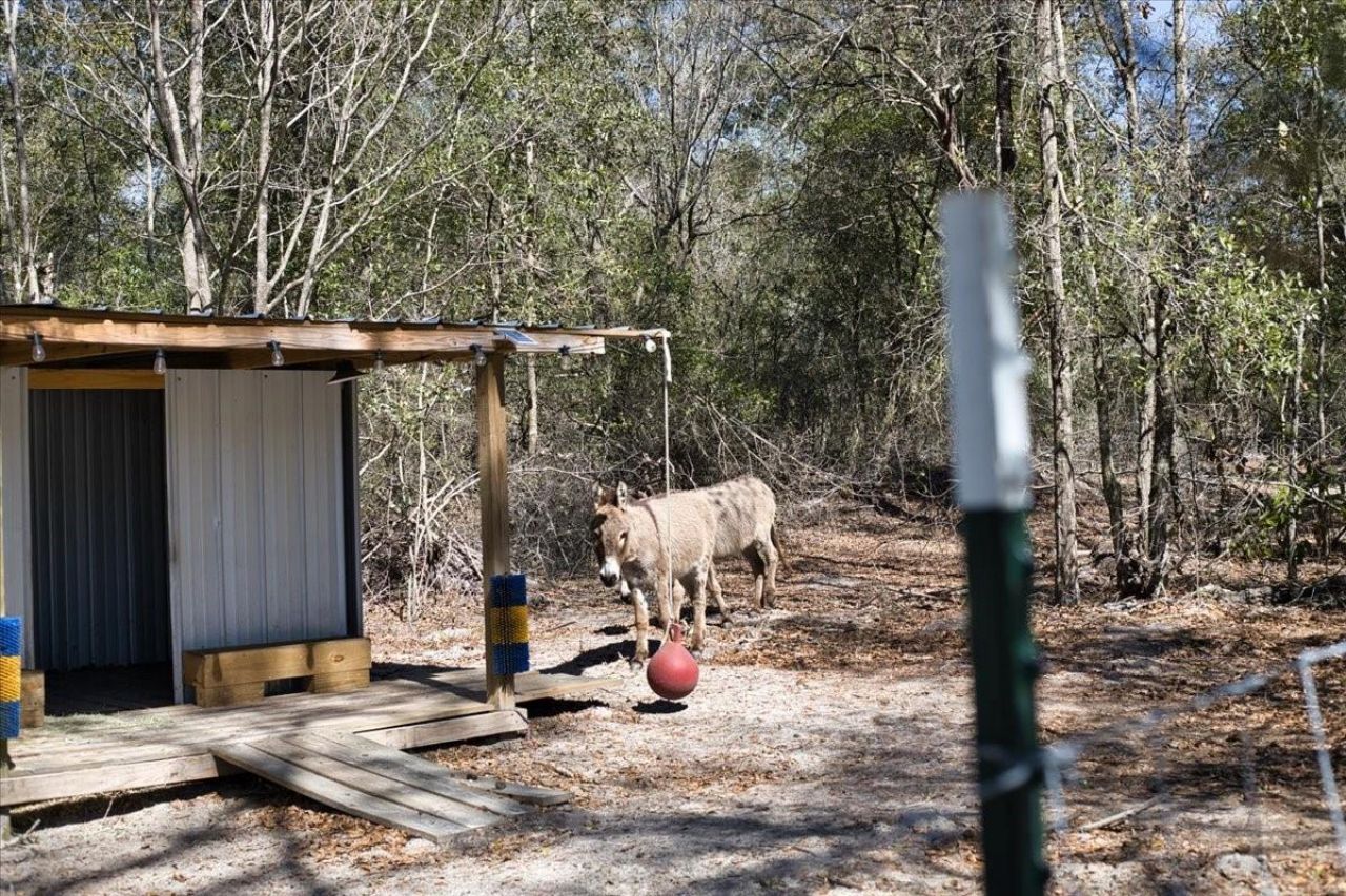 771 & 775 SW Choctaw Avenue, Fort White, FL 32038 Photo