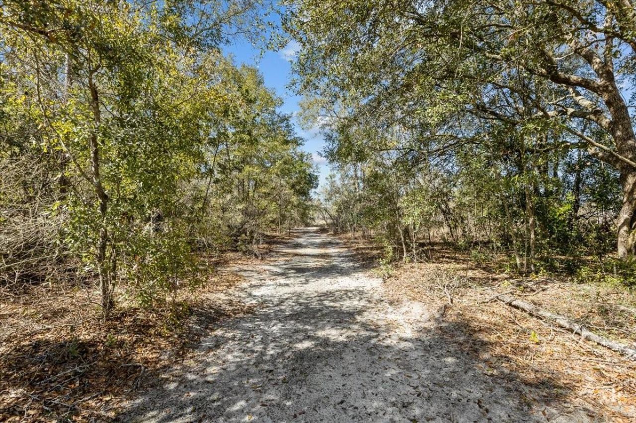 771 & 775 SW Choctaw Avenue, Fort White, FL 32038 Photo