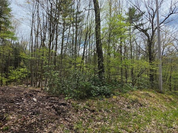 Lot 82 Perry Pond Road, Narrowsburg, NY 12764