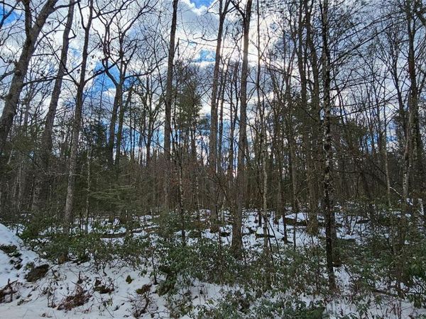 Lot 82 Perry Pond Road , Narrowsburg, NY 12764