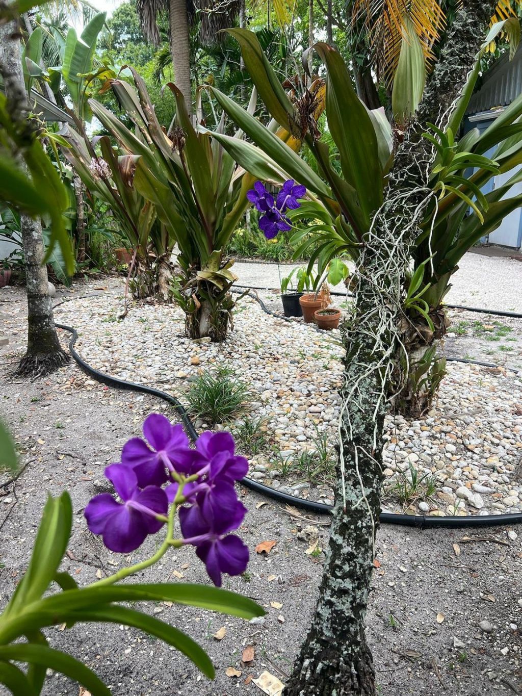 618 SW 14th Terrace, Unit 5, Fort Lauderdale, FL 33312 Photo