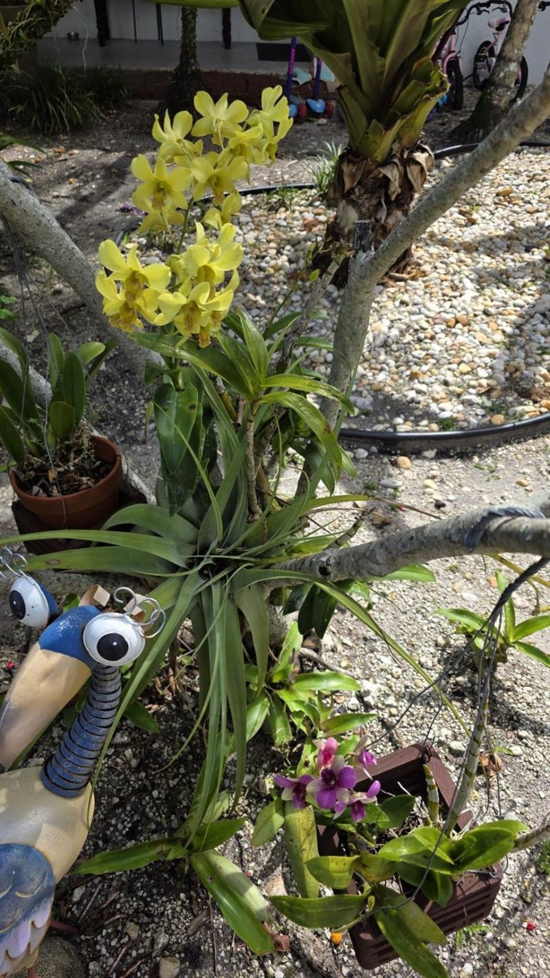 618 SW 14th Terrace, Unit 5, Fort Lauderdale, FL 33312 Photo