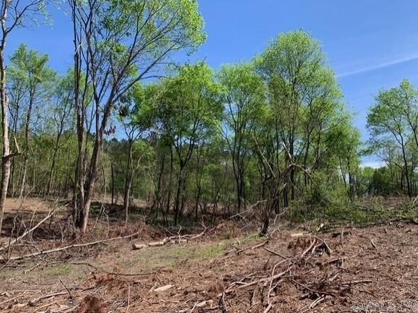 Tract 4 Coop Trail, Bismarck, AR 71929