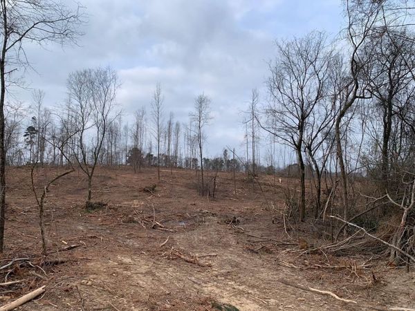 Tract 4 11395 Hwy 84 , Bismarck, AR 71929