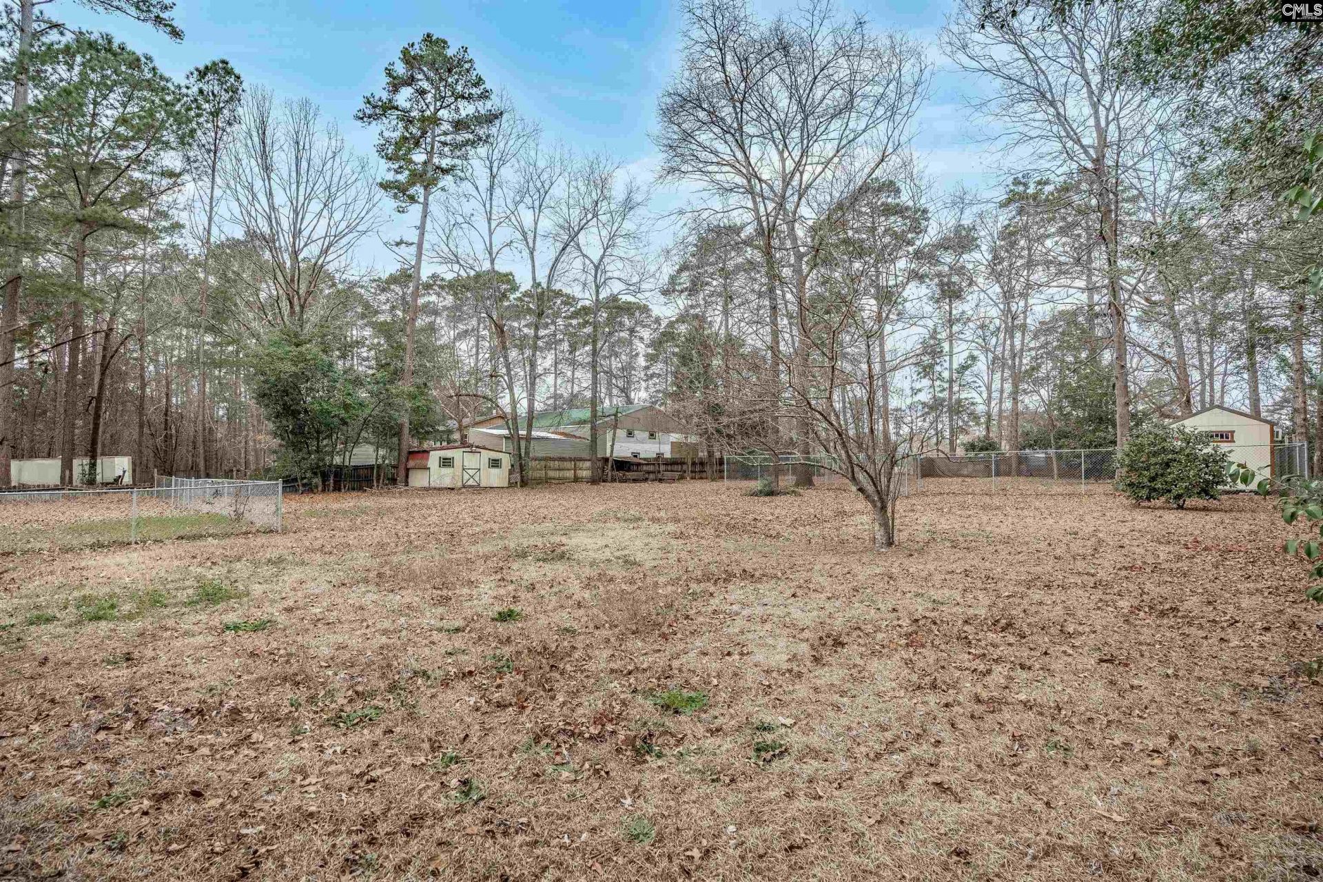 2810 Shampy Street Photo 39