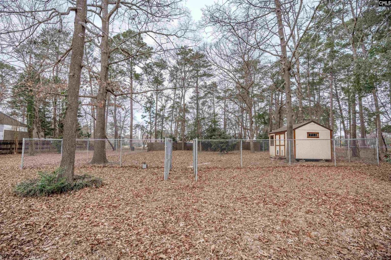 2810 Shampy Street  Photo 37