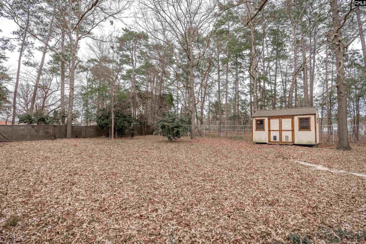 2810 Shampy Street  Photo 38