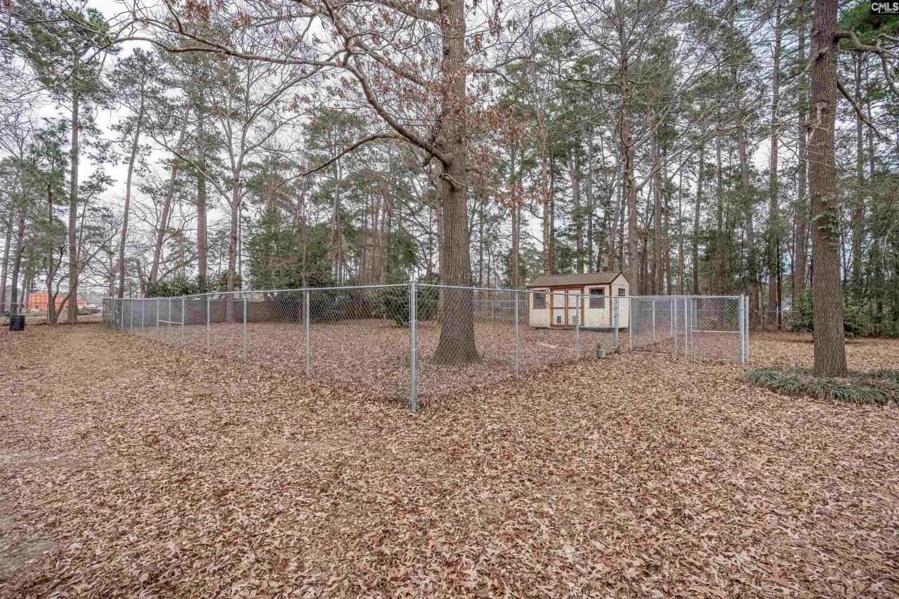 2810 Shampy Street Photo 42