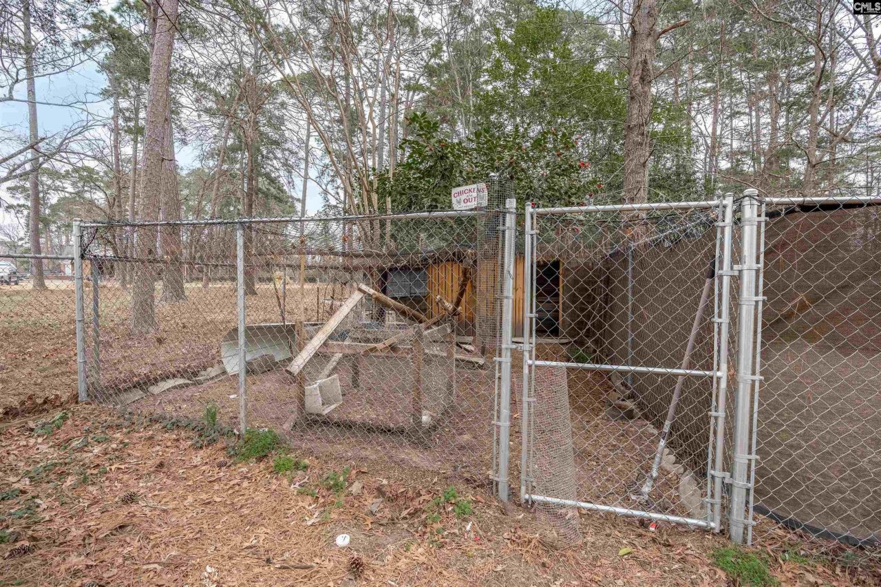 2810 Shampy Street  Photo 41