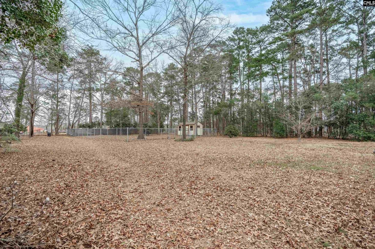 2810 Shampy Street  Photo 43