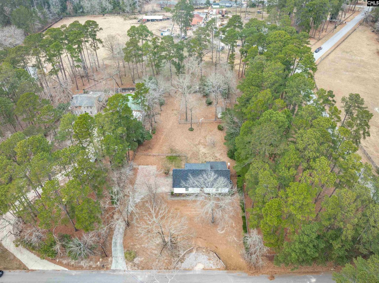 2810 Shampy Street  Photo 49