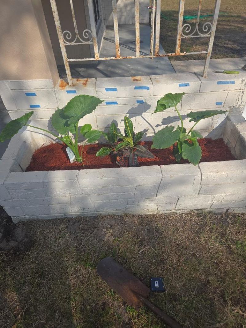 7531 Polk Street, Hollywood, FL 33024 Photo