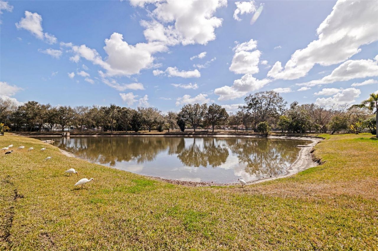 5844 95th Avenue N, Pinellas Park, FL 33782 Photo