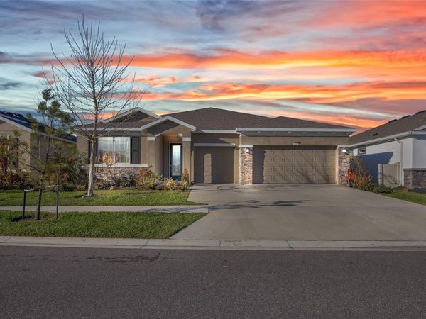 32289 CONCHSHELL SAIL STREET, WESLEY CHAPEL, FL 33545