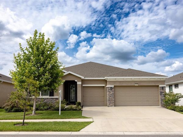 32289 CONCHSHELL SAIL STREET, WESLEY CHAPEL, FL 33545