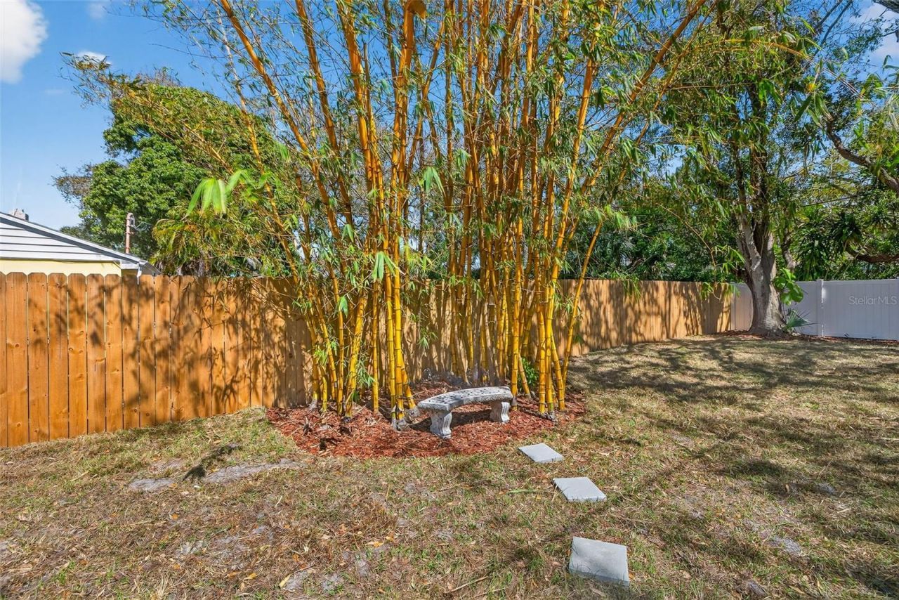 3535 Park Street N, Saint Petersburg, FL 33710 Photo