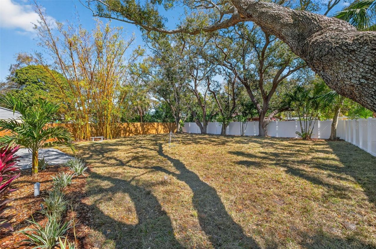 3535 Park Street N, Saint Petersburg, FL 33710 Photo