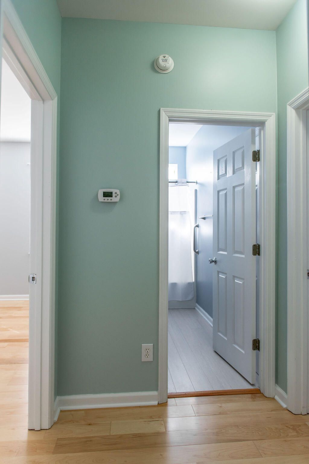 1817 Great Hope Drive Photo 39