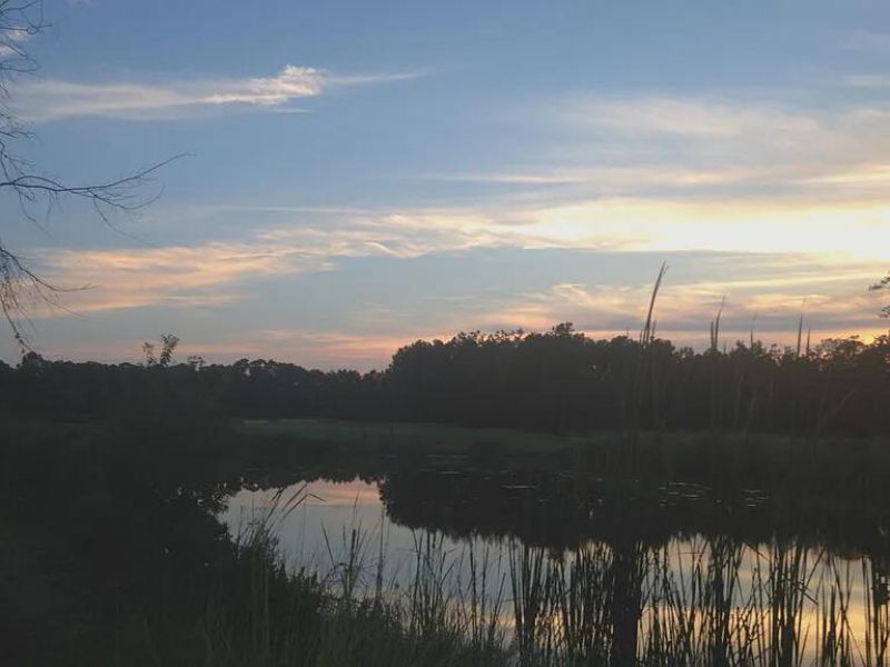 1817 Great Hope Drive Photo 68