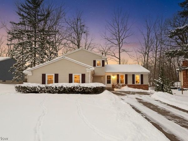 983 W Abbey Drive, Medina, OH 44256