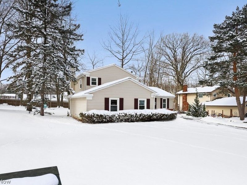 983 W Abbey Drive, Medina, OH 44256 Photo 3