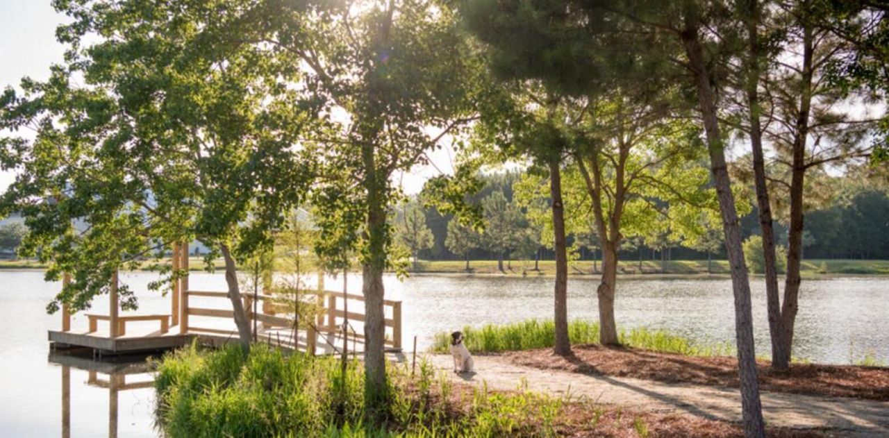 138 Cloverfield Trail Photo 24