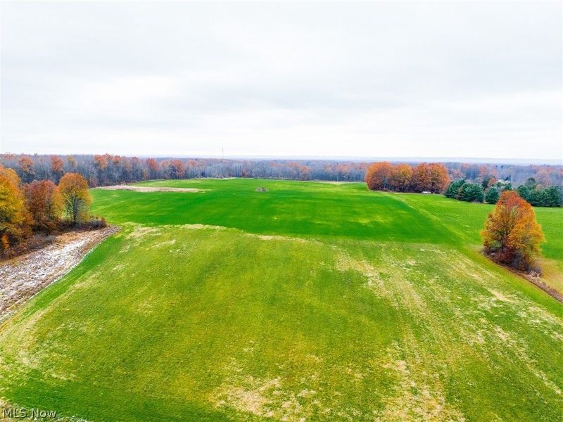 Mahan Denman Road, Bristolville, OH 44402 Photo 19