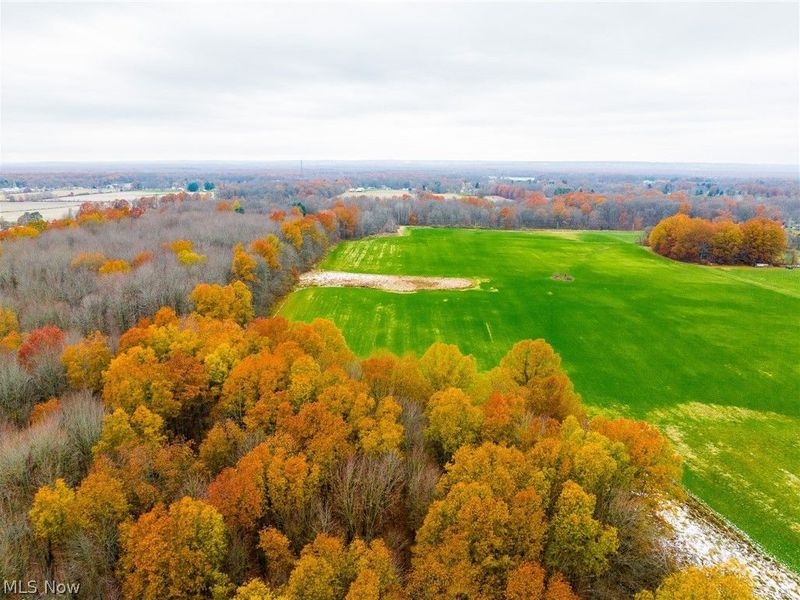 Mahan Denman Road, Bristolville, OH 44402 Photo 20