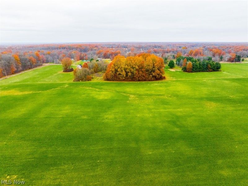 Mahan Denman Road, Bristolville, OH 44402 Photo 29