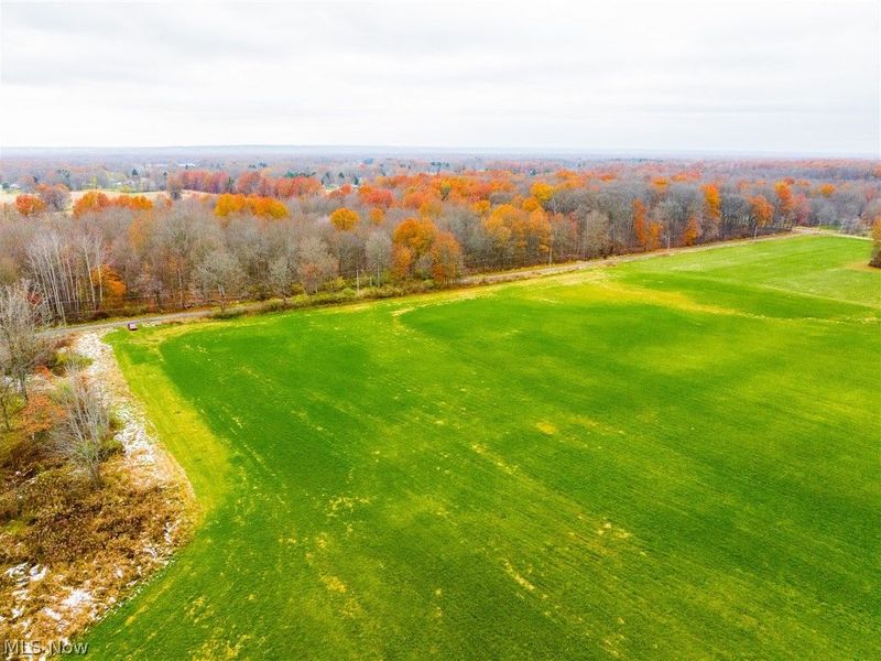 Mahan Denman Road, Bristolville, OH 44402 Photo 30