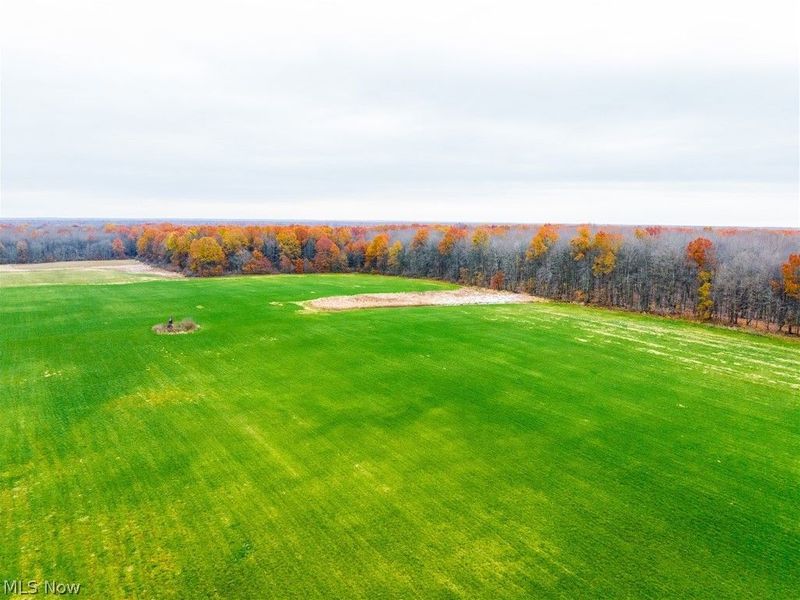 Mahan Denman Road, Bristolville, OH 44402 Photo 34