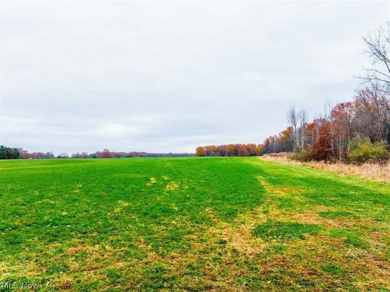 Mahan Denman Road, Bristolville, OH 44402 Photo 4