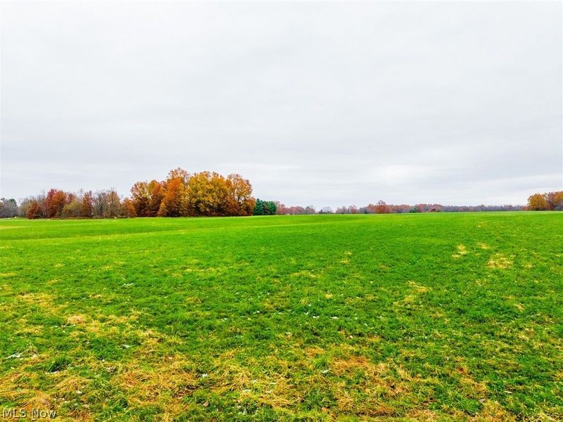 Mahan Denman Road, Bristolville, OH 44402 Photo 5