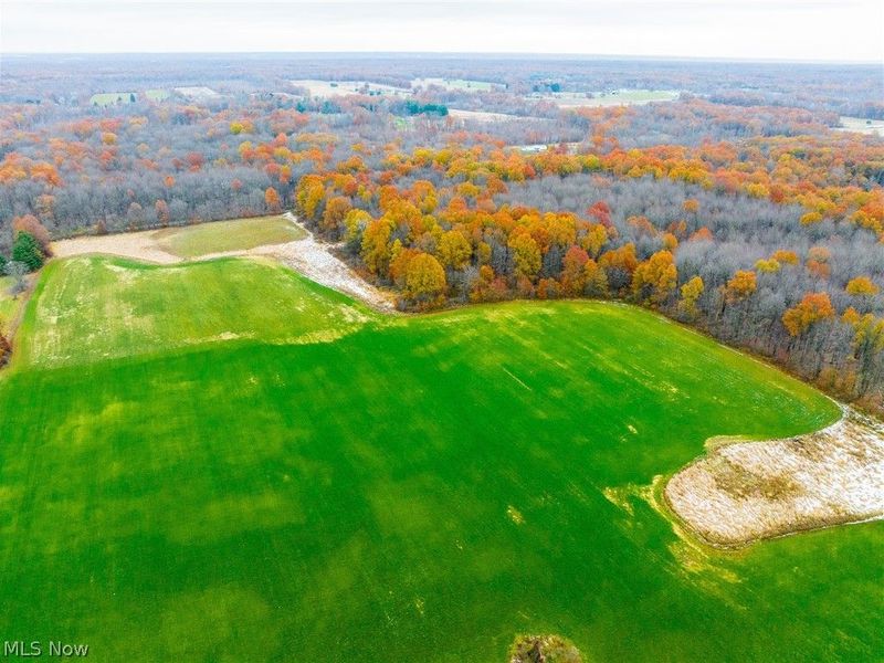 Mahan Denman Road, Bristolville, OH 44402 Photo 14