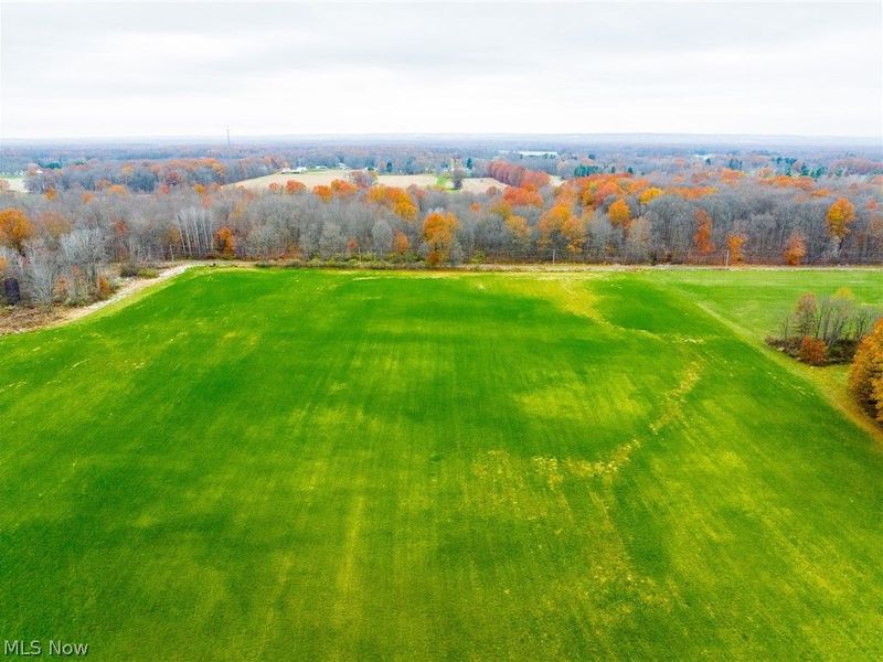 Mahan Denman Road, Bristolville, OH 44402 Photo 15