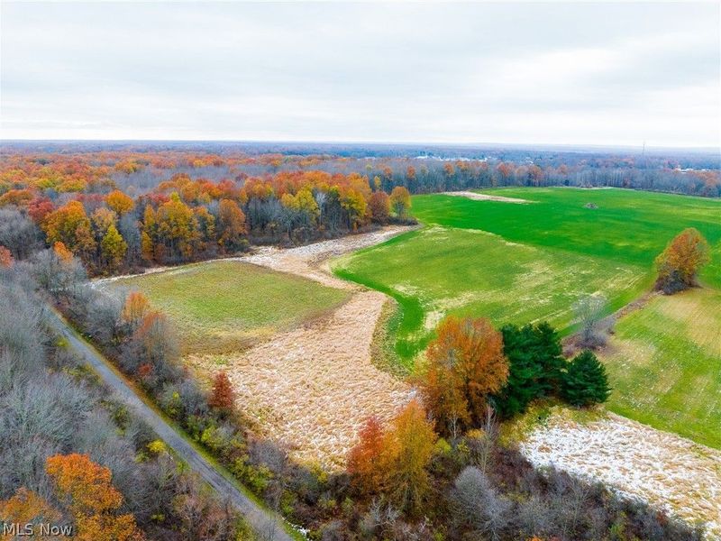 Mahan Denman Road, Bristolville, OH 44402 Photo 21