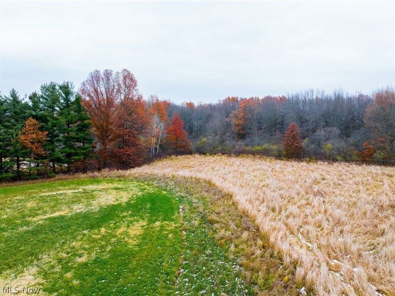 Mahan Denman Road, Bristolville, OH 44402 Photo 23