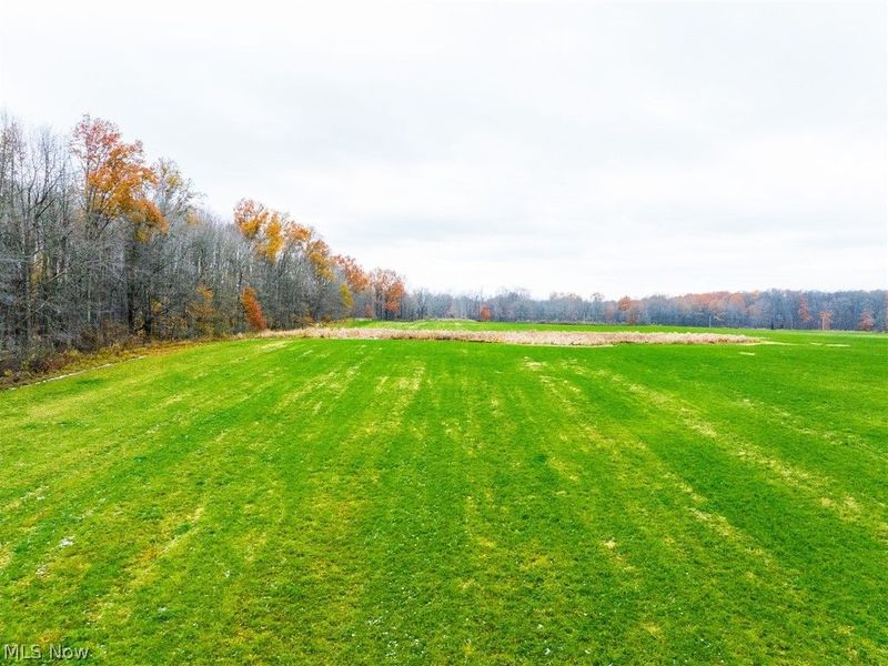 Mahan Denman Road, Bristolville, OH 44402 Photo 28