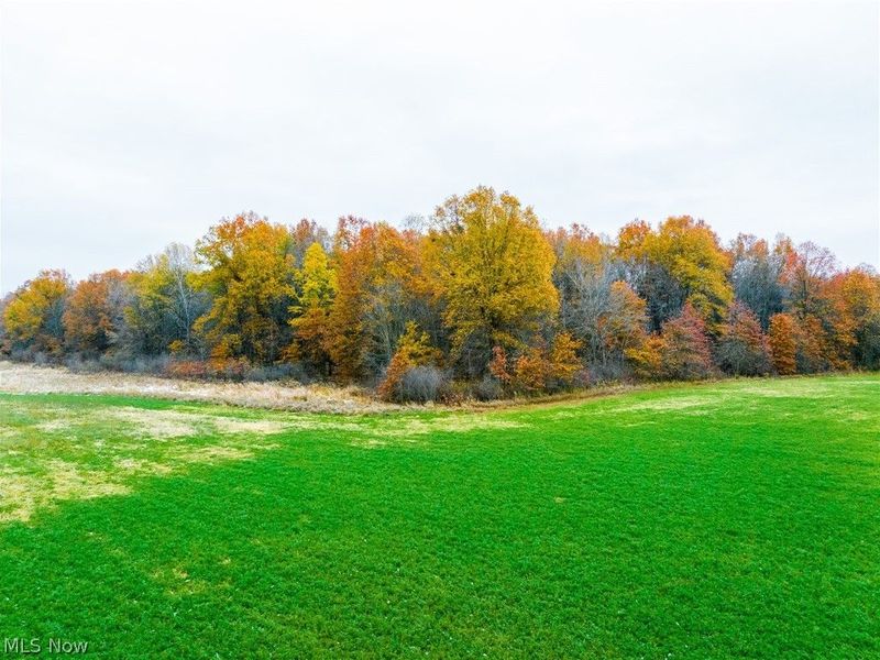 Mahan Denman Road, Bristolville, OH 44402 Photo 30