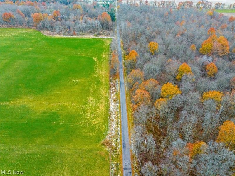 Mahan Denman Road, Bristolville, OH 44402 Photo 8