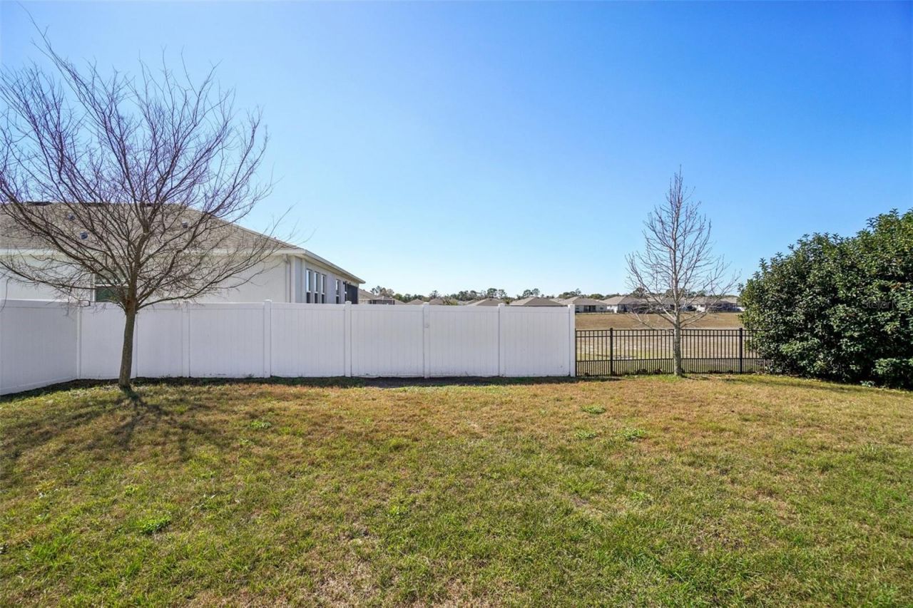 3458 Autumn Amber Dr, Spring Hill, FL 34609 Photo