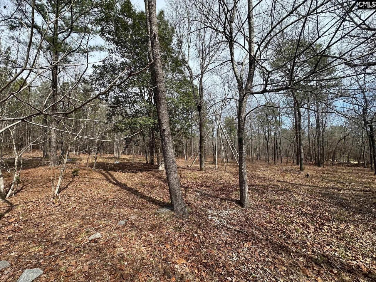 476 Calmont Drive  Photo 10