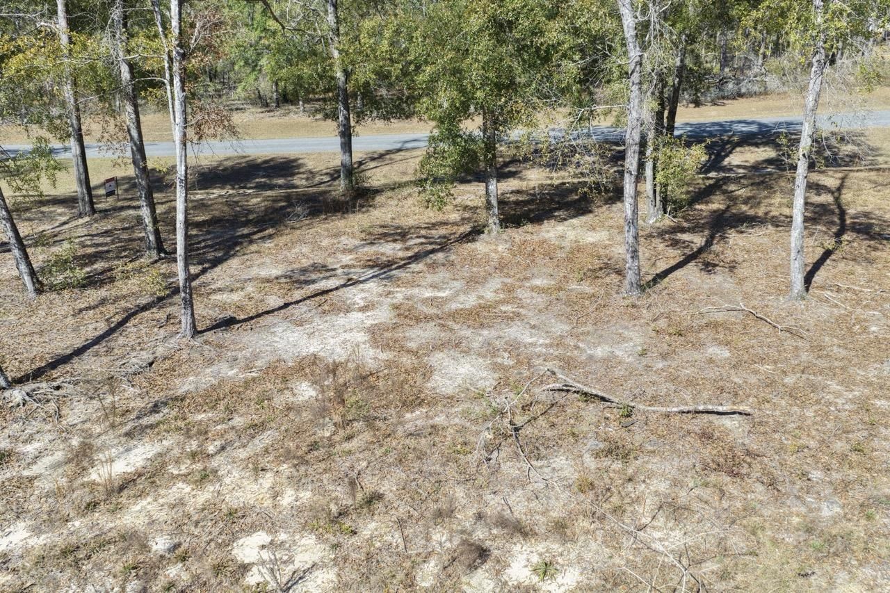 Vacant Oakwood Way , Madison, FL 32350 Photo