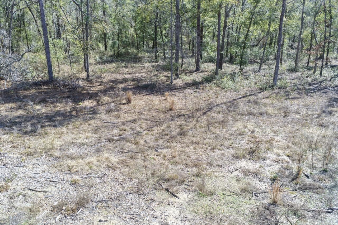 Vacant Oakwood Way , Madison, FL 32350 Photo