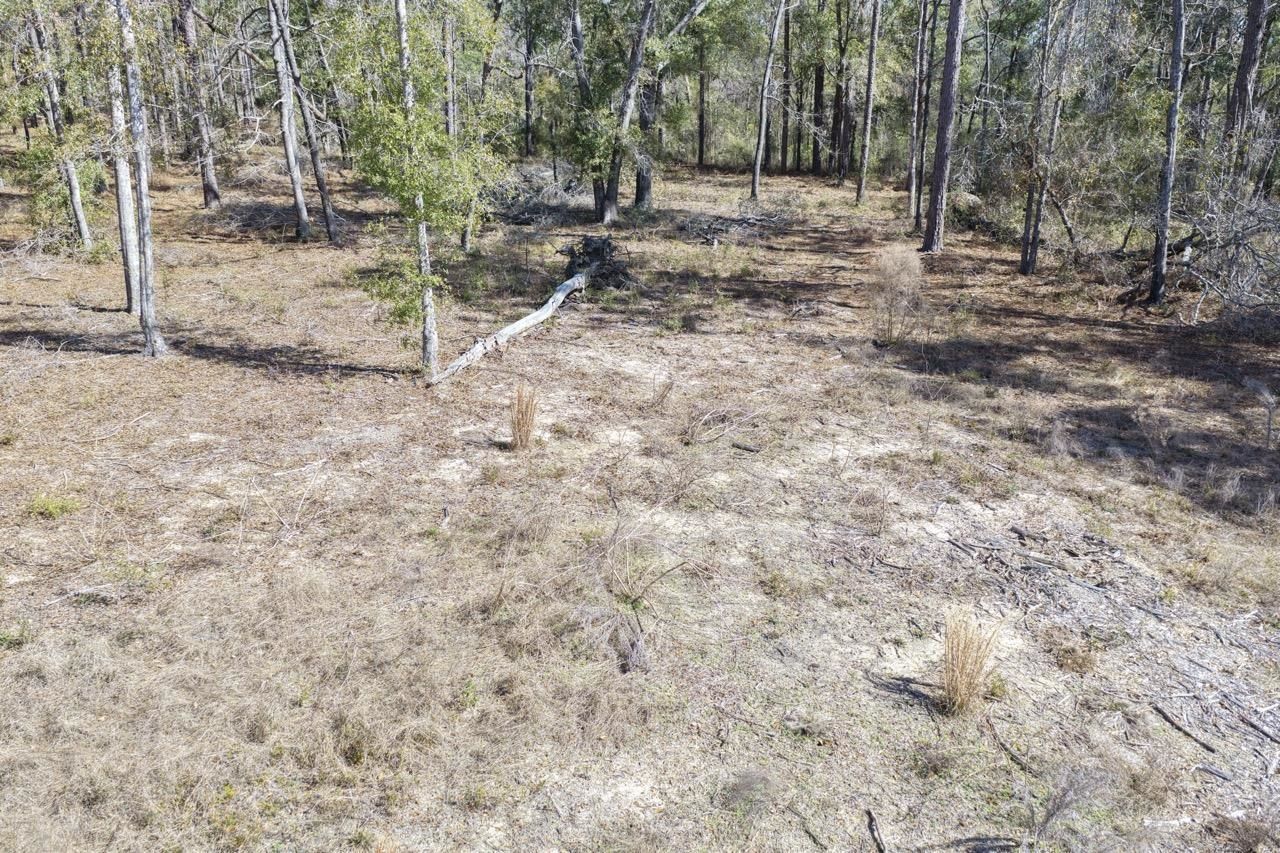 Vacant Oakwood Way , Madison, FL 32350 Photo