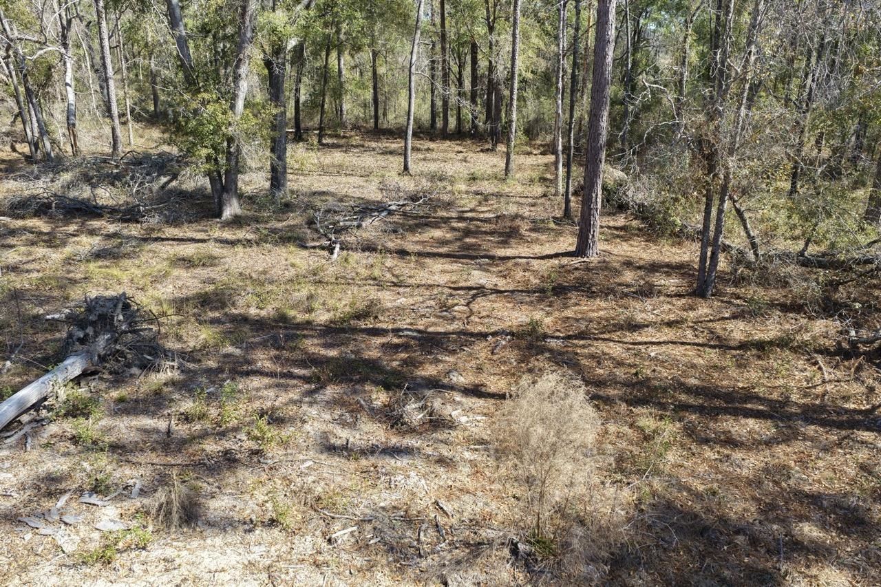 Vacant Oakwood Way , Madison, FL 32350 Photo