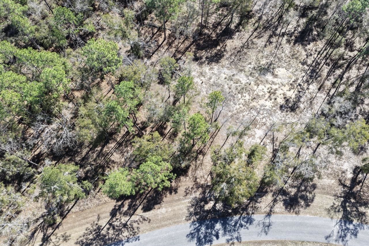 Vacant Oakwood Way , Madison, FL 32350 Photo