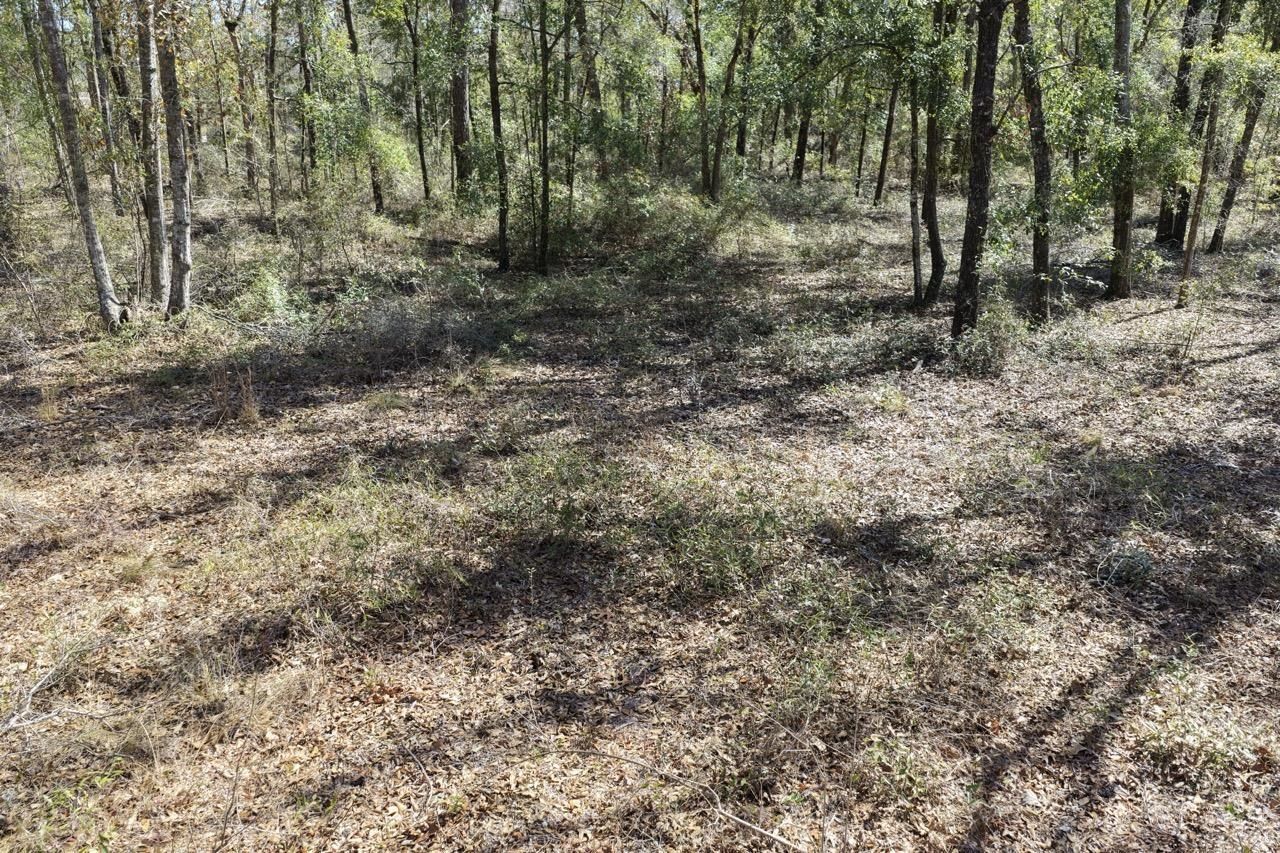 Vacant Oakwood Way , Madison, FL 32350 Photo