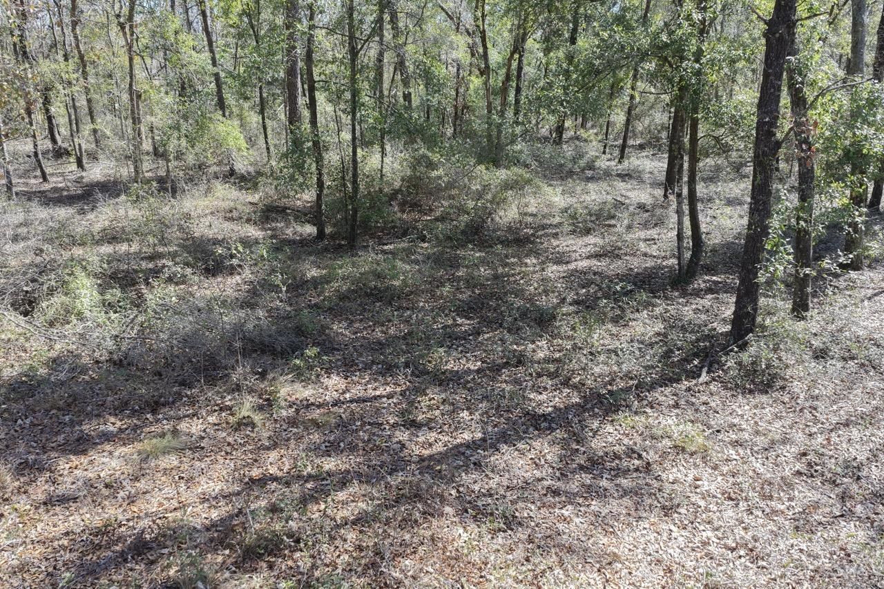 Vacant Oakwood Way , Madison, FL 32350 Photo